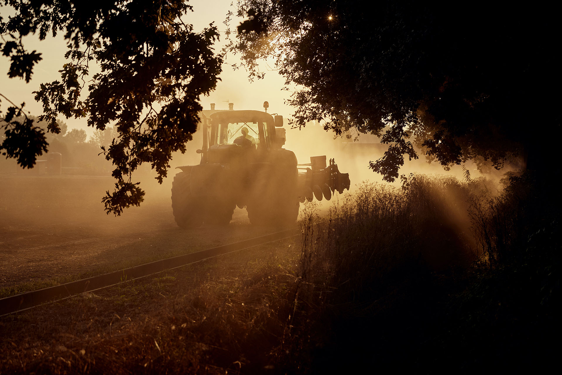 Landwirtschaftsfotografie bei KWS Saat Italien | Karsten Koch