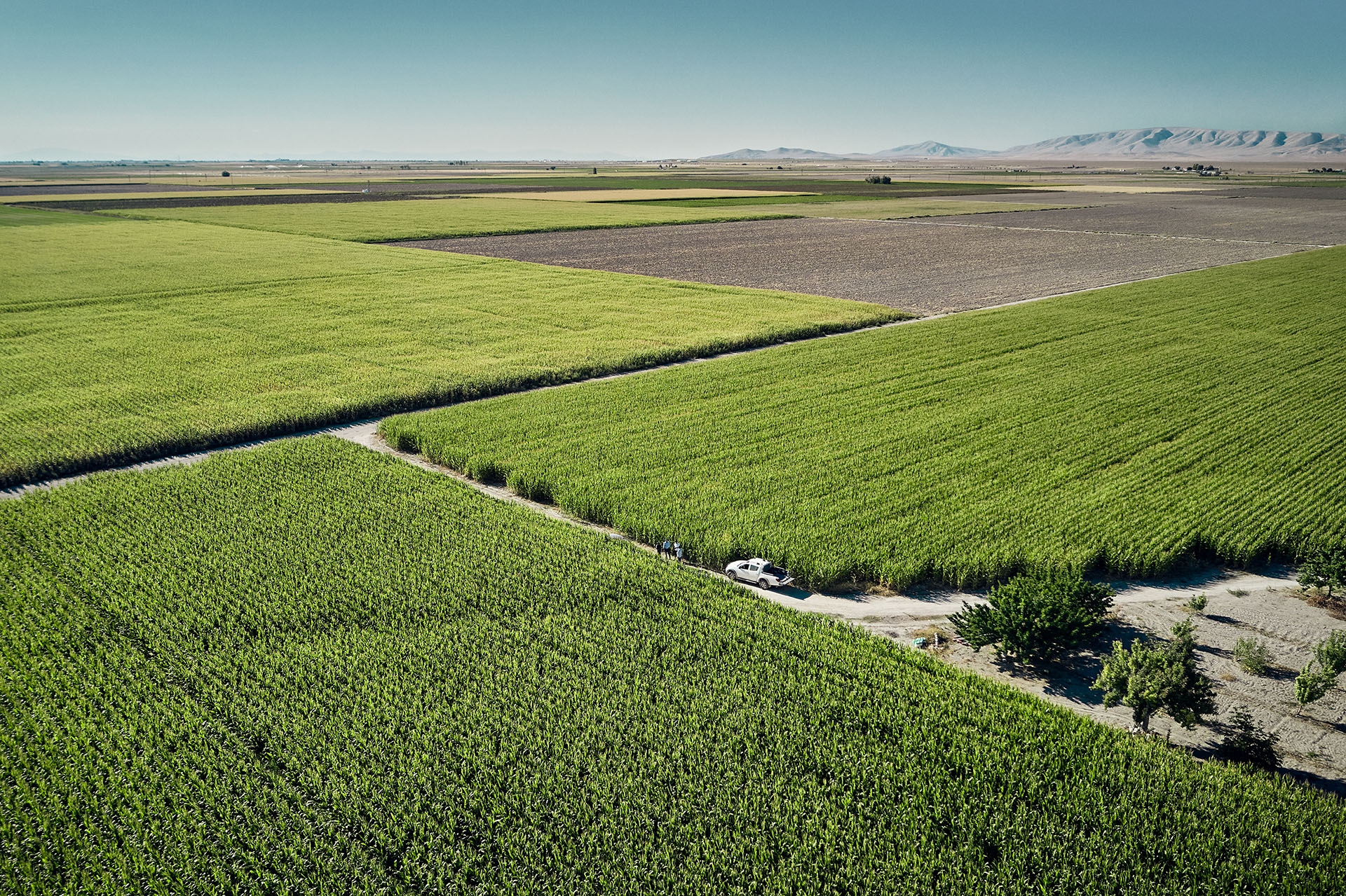 Landwirtschaftsfotografie bei KWS Saat Türkei | Karsten Koch